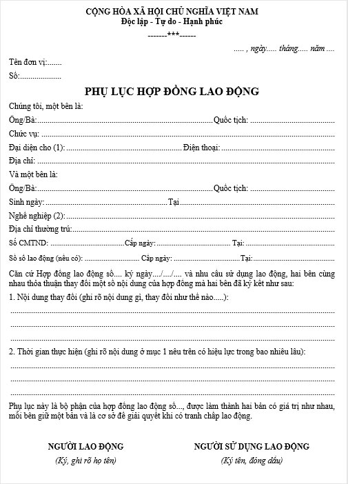 phu luc hop dong lao dong